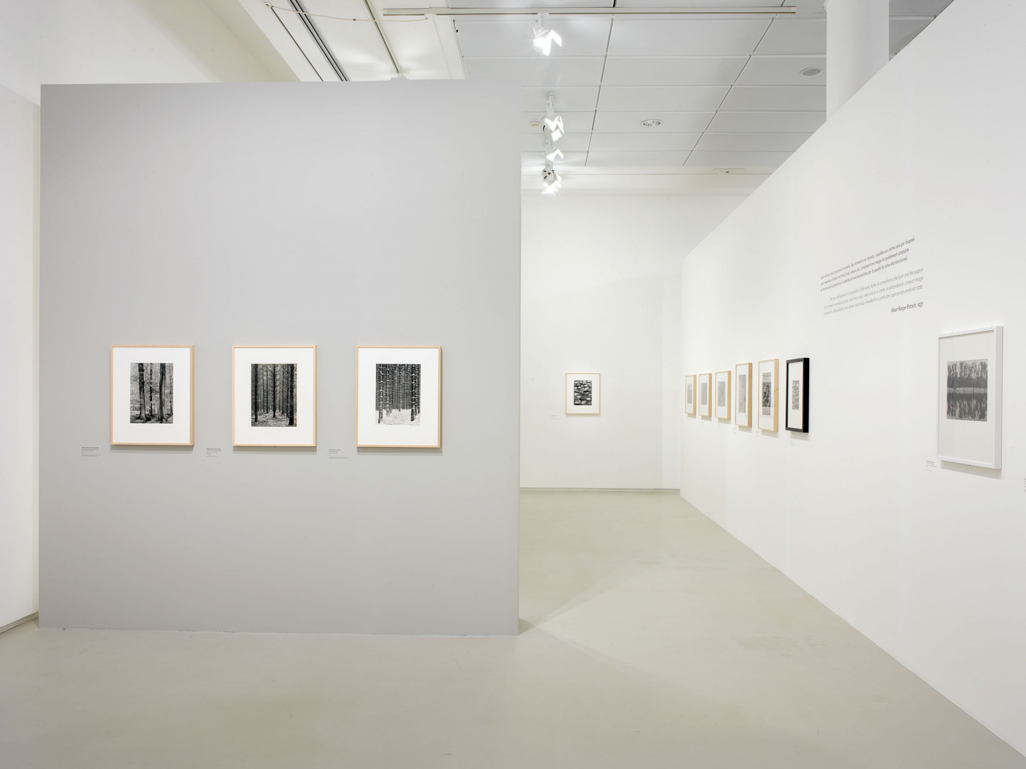 ALBERT RENGER-PATZSCH - LES CHOSES