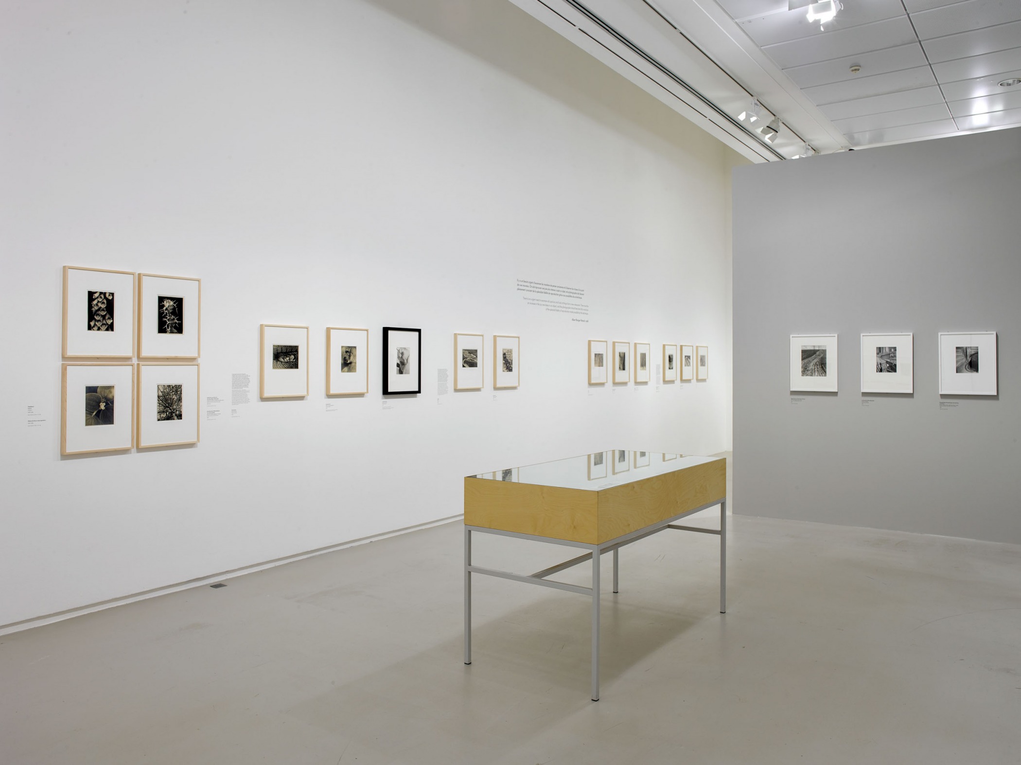 ALBERT RENGER-PATZSCH - LES CHOSES