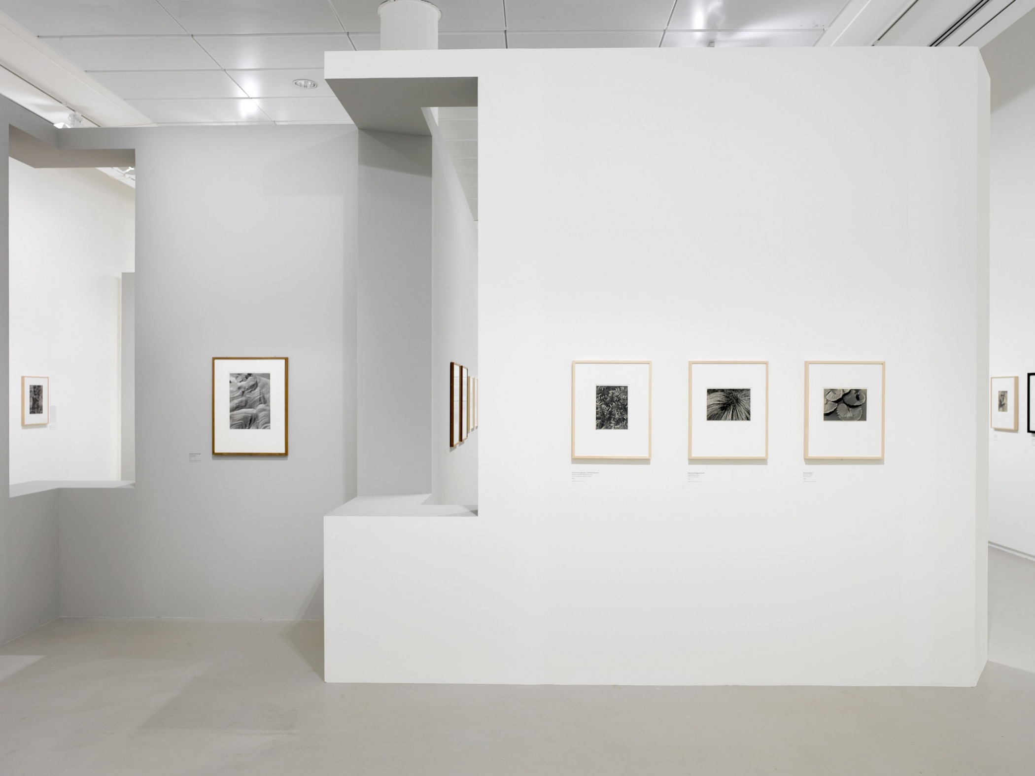 ALBERT RENGER-PATZSCH - LES CHOSES